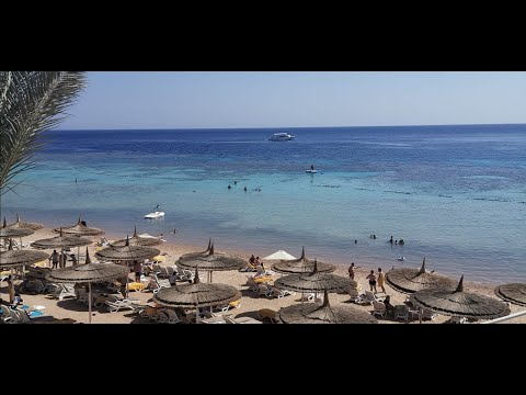 REEF OASIS BEACH RESORTS SHARM EL SHEIKH - UNA MERAVIGLIA!  Matteo Calloni