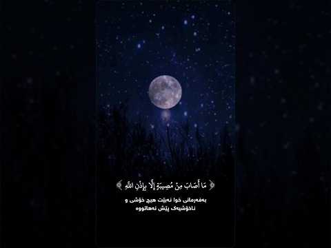 #quran #اكسبلور #iclamic #لايك #حالاتواتس #راحة_نفسية #دويتو #islamistics #حالات_واتس #duet