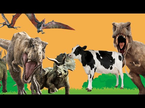 Uncovering the Lost Prehistoric Kingdom and its 12 Incredible Dinosaur Collections!