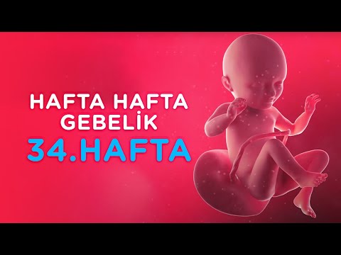 Hamilelikte 34. Hafta - Hafta Hafta Gebelik | İlk Adımlarım
