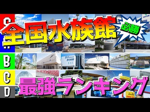 人生で1度は行かないと絶対に後悔する全国水族館ランキング!!【最新版】
