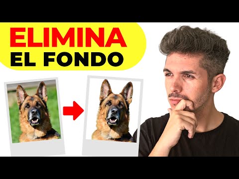 ✅ Cómo Eliminar el Fondo en una Foto o Imagen (Gratis y Rápido!) ????