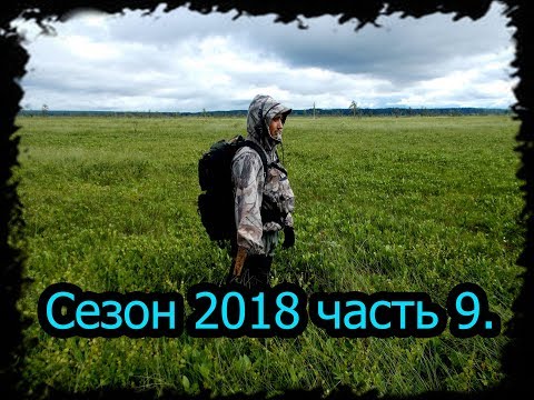 4 месяца в тайге. Сезон 2018 часть 9. Великолепный Олень, Табр, Мель.bushcraft.