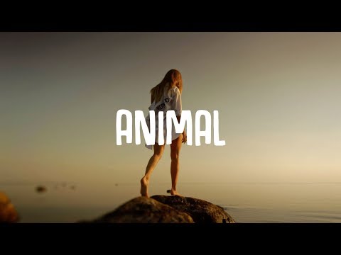 Vicetone - Animal (Lyrics) ft. Jordan Powers &amp; Bekah Novi