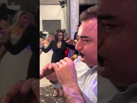 Thumbnail for Zafer Küçük Halaylar