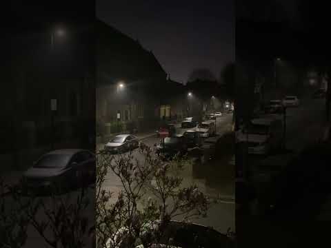 Birds Chirping At 05:30am