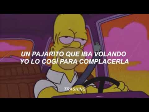 Porque yo en el amor soy un idiota - (Letra/Lyrics)