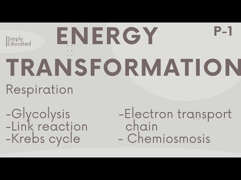 Biology-Energy transformation ,part1  Amh