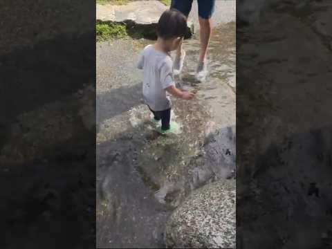 Thumbnail for 물장구 즐거워하는 리오 #아기 #놀이 #장난감 #shorts