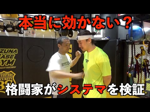 システマを習得すればパンチは効かないのか?身体を張って検証してみた