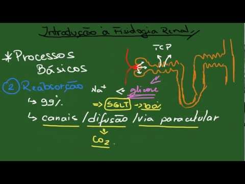 Introdução à Fisiologia Renal - Resumo - Fisiologia