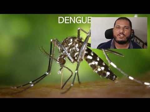 Dengue Questão de Concurso de Granja - CE Para ACE {1}