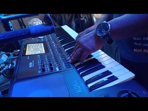 auvidkar La cumbia de los pajaritos para teclados korg pa