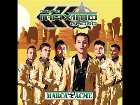 el gallo maximo grado 2015