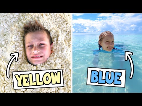 Thumbnail for Hide and Seek in Your Color!!!