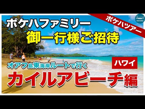 【絶対行きたいハワイの観光スポット】絶景のオアフ島東海岸ルートを駆け巡る！ポケハツアーで行くカイルアビーチへの旅【自宅でハワイ旅行】【4K】