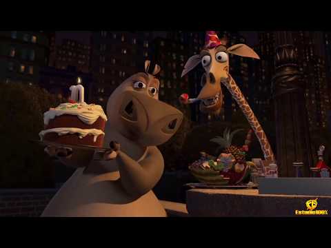 Parabéns para tu faz um desejo docinho trecho para retrospectiva  HD (Madagascar) estudio100