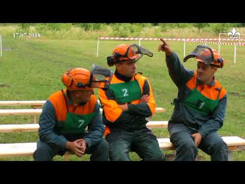 Як змагались бродівські звалювальники лісу (ТРК "Броди")