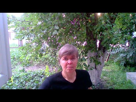 ГРЯДУЩИЙ ЦАРЬ. ГЕНДЕРНАЯ ИДЕНТИЧНОСТЬ.