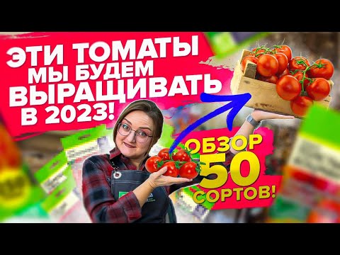 НАШИ ТОМАТЫ НА 2023! Это сорта будем сеять на рассаду! Топ томатов от Семена Алтая