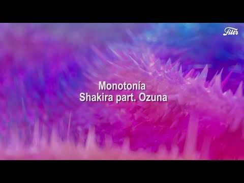 Thumbnail for Shakira, Ozuna - Monotonía (Tradução / Letra)