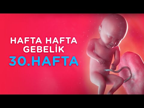 Thumbnail for Hamilelikte 30. Hafta - Hafta Hafta Gebelik | İlk Adımlarım