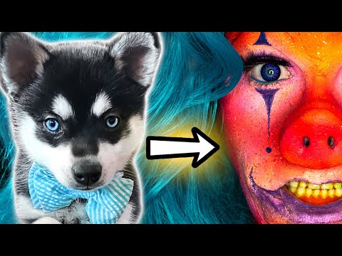PUPPY Picks My FX Makeup