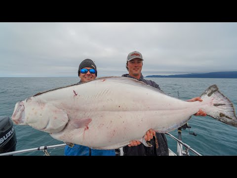 Thumbnail for GIANT Alaskan Halibut... Catch Clean Cook