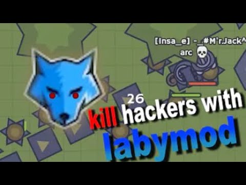 Thumbnail for Moomoo.io - ????Killing hackers with Labymod ????(FirE WorK Reupload)