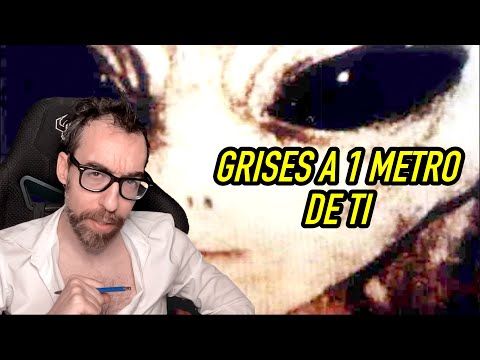 Thumbnail for ¿CÓMO SE COMPORTA UN GRIS A UN METRO DE TI?