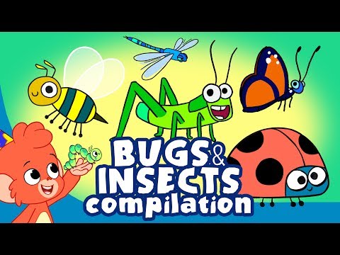 Thumbnail for Learn Insects and Bugs for Kids | Cute Insect a to z Cartoon Compilation | Club Baboo