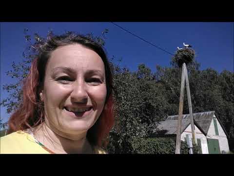 Село Быстрица (Беларусь)