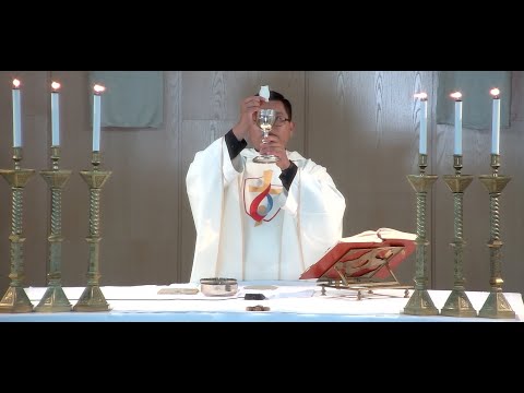 La Santa Misa de hoy |SAN ISDORO, Obispo y Doctor de la Iglesia | 26-04-2024 | P. Jorge David, FM