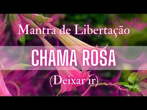 MANTRA PARA DEIXAR IR SENTIMENTOS NEGATIVOS ???? LIBERTAÇÃO, DESAPEGO E LEVEZA NA ALMA ???? CHAMA ROSA