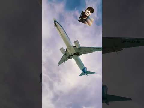 Thumbnail for #кошкасофа #смешныеживотные #viral #cat #funnyanimals #funny #catlover