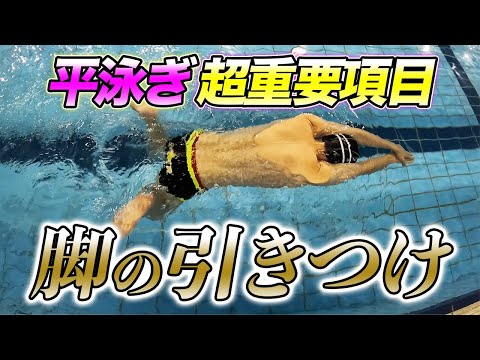 【平泳ぎ】上半身の動きにもつながる!?脚の引きつけ方