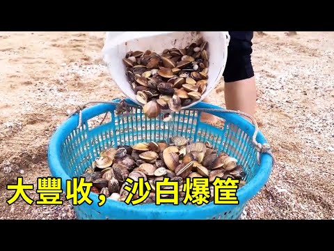 帶粉絲趕海撿沙白爆筐，去沙灘和沙蟹賽跑，晚上高燃篝火載歌載舞【漁小仙】