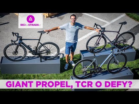 Bici aero, da salita o endurance: guida alla scelta...