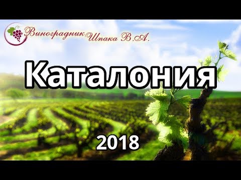 Каталония урожая 2018