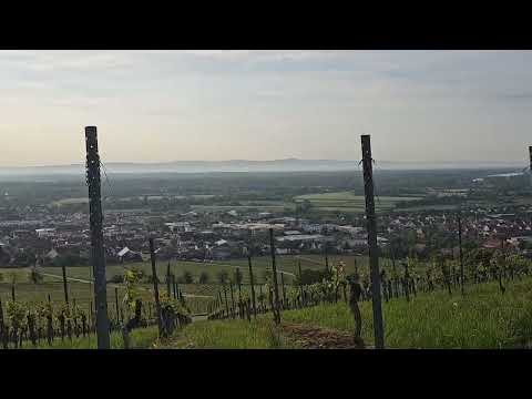 اجمل ساعة ونصف مع فيروز في أروع ولاية وأروع طبيعة