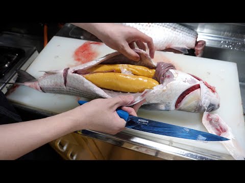 【高級食材】ボラの卵を1ヶ月以上かけて、カラスミをつくってみた!