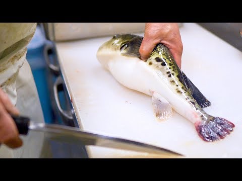 Thumbnail for 【職人技】活トラフグ（猛毒）のさばき方！京都祇園 山福 ふぐ料理 Blowfish (Puffer fish) Full Course Menu at Kyoto Japan!