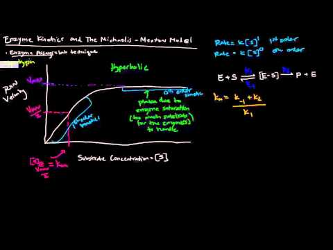 Enzymes (Part 2 of 5) - Enzyme Kinetics and The Michaelis Menten Model