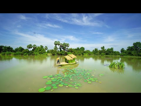 Build The Most Beautiful Boat House for Traveling and Relaxing Around Lake River