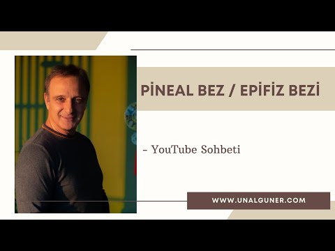 Pineal Bez / Epifiz Bezi