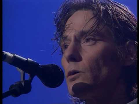 ANTONIO VEGA &quot;BASICO&quot;