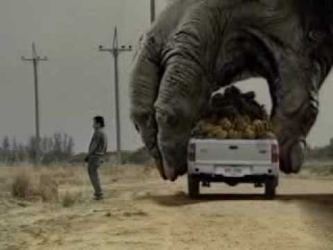 Two Giant Gorilla plays the car