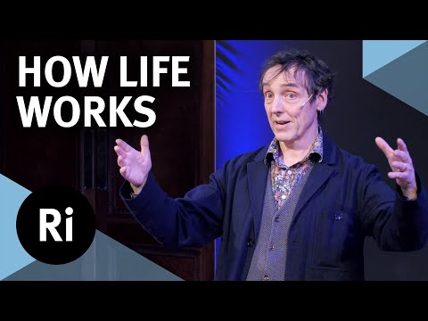 Thumbnail for What is life and how does it work? - with Philip Ball