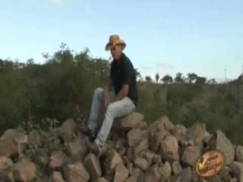 Thumbnail for bonde do vaqueiro senhor carreteiro