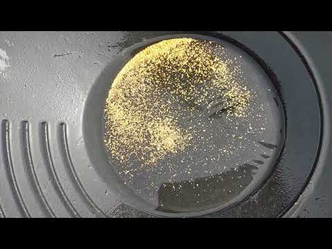사금은 잘먹어야 금을많이캠니다~~~gold pick up